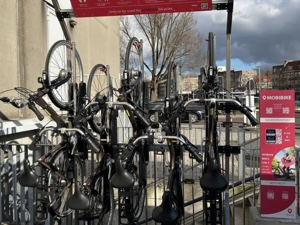 mobihub amsterdam Bos en Lommerplantsoen